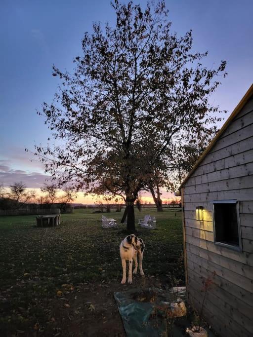 Gite Au Haras D'Agathe Et Ses Princes Les Barils Extérieur photo