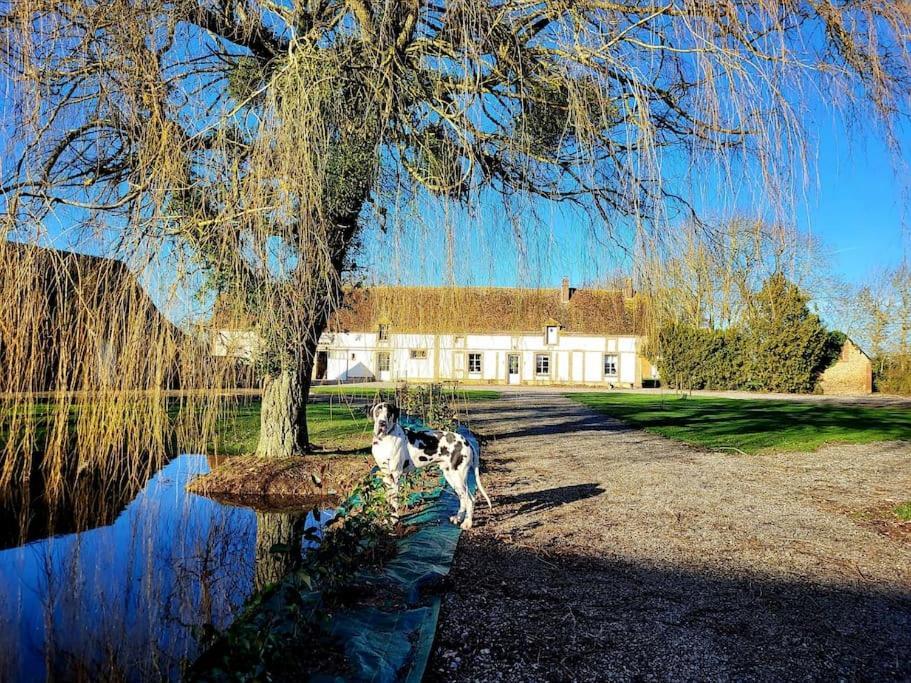 Gite Au Haras D'Agathe Et Ses Princes Les Barils Extérieur photo