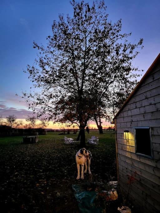 Gite Au Haras D'Agathe Et Ses Princes Les Barils Extérieur photo