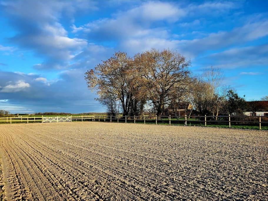 Gite Au Haras D'Agathe Et Ses Princes Les Barils Extérieur photo