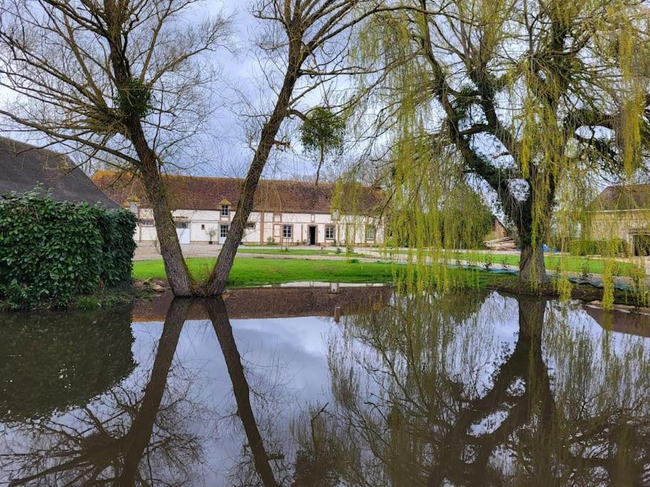 Gite Au Haras D'Agathe Et Ses Princes Les Barils Extérieur photo